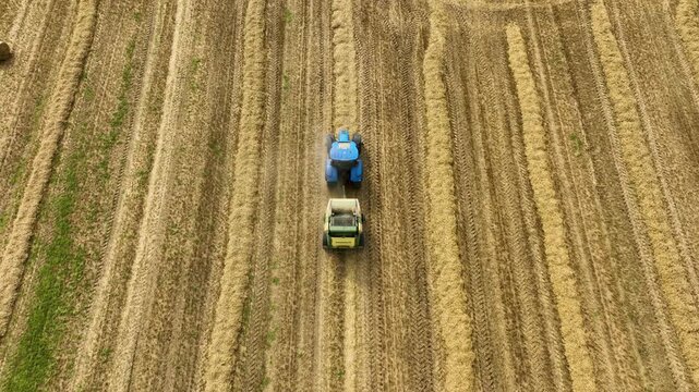 Blue tractor with round baler making straw bales on harvested wheat field. Cinematic aerial top down view of summer farm work. Golden stubble rows and peaceful countryside farming landscape.