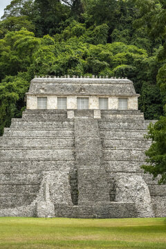 View of the ancient Mayan Temple of the Inscriptions with its steep stone staircase and temple structure set against a dense jungle backdrop in Palenque, Chiapas, Mexico.