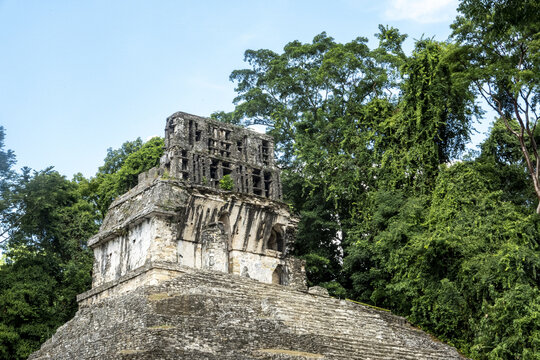 View of the ancient Maya ruins of Palenque with stone architecture and lush jungle surroundings in Palenque, Chiapas, Mexico.