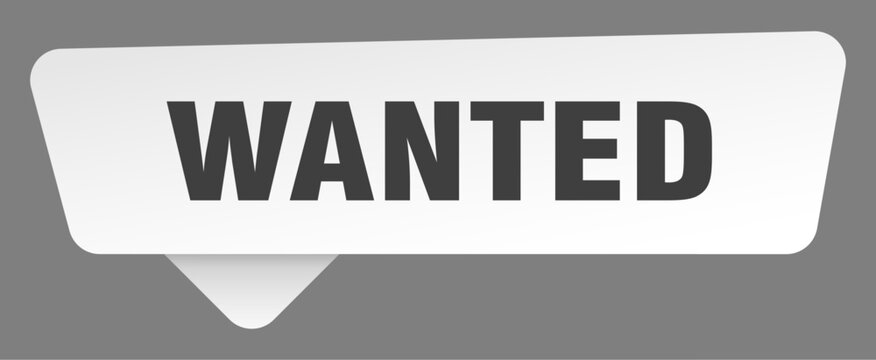 wanted sign. wanted white sticker isolated on gray background