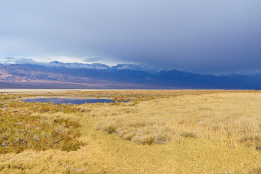 Wetlands of Saratoga Springs, dramatic sky, Death Valley National Park