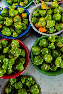 Cambuci type, chili peppers at a Sao Paulo street market, Brazil