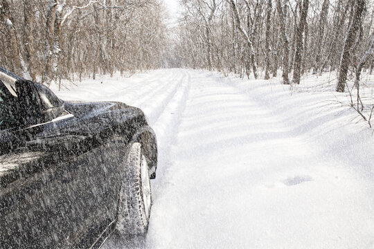 car in forest