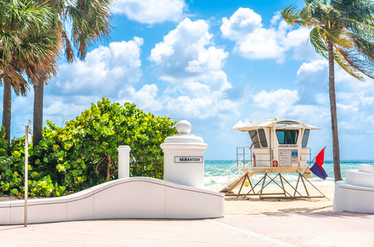 Seafront beach promenade with palm trees on a sunny day in Fort Lauderdale