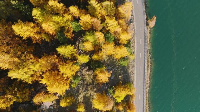 Aerial drone view of an asphalt road with cars driving near a lake surrounded by autumn forest. Scenic fall landscape for travel background and transportation. 