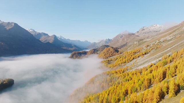 Aerial drone view of a foggy mountain valley with autumn forest at sunrise. Low mist over trees under a clear blue sky.