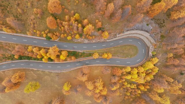 Aerial drone view of a winding road curving through a colorful autumn forest. Scenic fall foliage, route travel, and transportation concept.