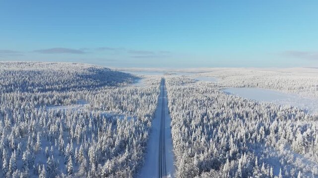 Aerial drone view of a road passing through a snowy pine forest on a bright winter day. Scenic winter road trip journey through cold fir trees.