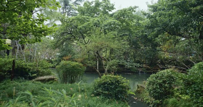 Chengdu, Sichuan, China. Pond At Park Of Wuhou Memorial Temple. Calmness And Tranquility. Calm Pond. Green Foliage Bushes. Silence And Peace. stream flowing into pond