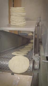 Hands stacking fresh corn tortillas from production conveyor