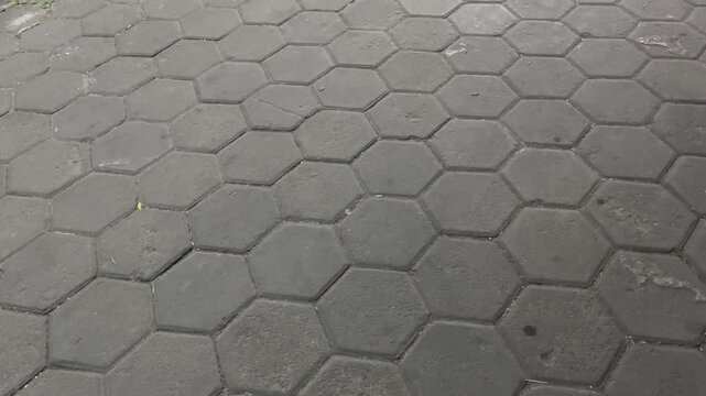 Perspective View of Hexagonal Concrete Paving Blocks Walkway