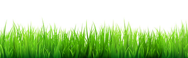 Naklejka premium Meadow silhouette with green grass, plants on plain. Panoramic summer lawn landscape with herbs, various weeds. Herbal border, frame element. Black horizontal banners. Vector illustration