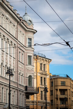 Classic historic building stone facade with art nouveau ornaments and windows pattern close up.
