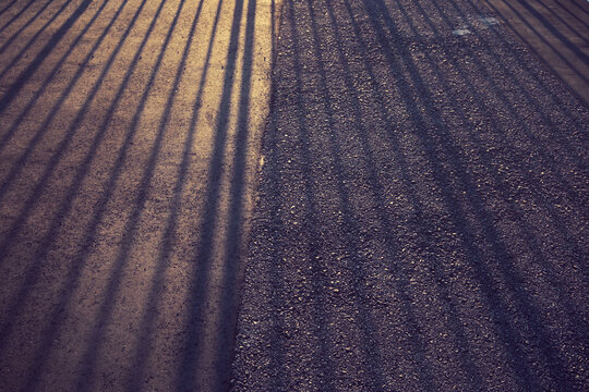 夕陽を浴びて地面に伸びた柵の影