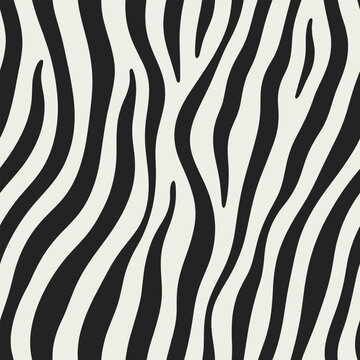 Black and White Zebra Stripe Pattern Seamless Background Keywords: zebra, stripes, pattern, animal print, black and white, monochrome, seamless