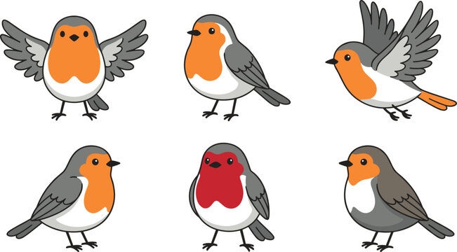 Cute European robin bird vector character set featuring a cartoon redbreast flying standing and posing in different positions isolated on a white background.