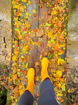 TOP DOWN, FPV, POV: Woman in yellow boots crossing narrow wooden bridge over small creek in Dolenjska, Slovenia. Wet boards and colorful fallen leaves create vivid autumn countryside scene after rain.