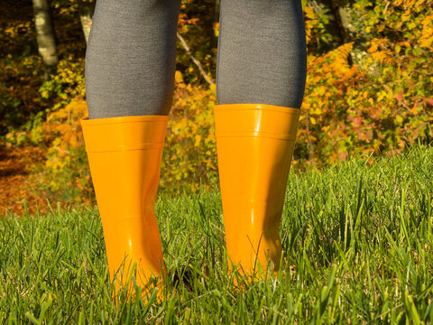 LOW ANGLE VIEW, CLOSE UP: Bright yellow rubber boots stand in sunlit green grass with colorful autumn woodland behind. Practical outdoor footwear, warm seasonal light and a peaceful walk in nature.