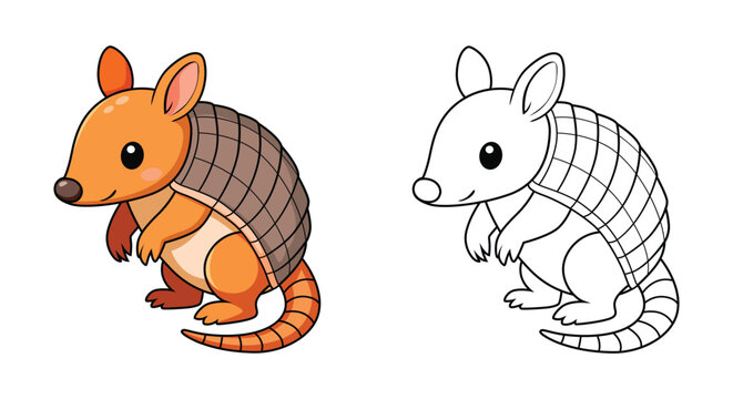 Cute armadillo cartoon character and black line outline coloring page set, little animal vector illustration isolated on white background for kids education book.