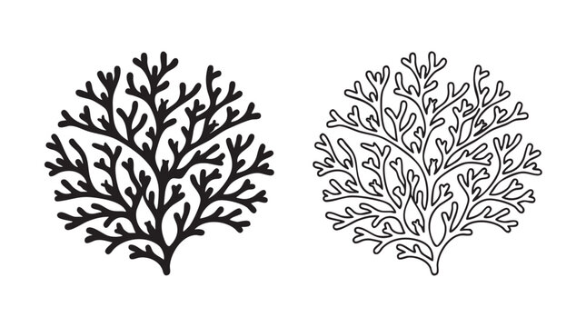 bryozoan colony vector icon set. marine invertebrate