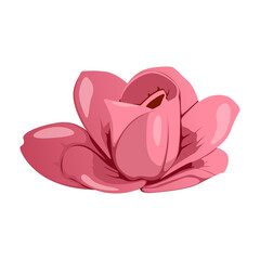 pink rose petals © Arnova