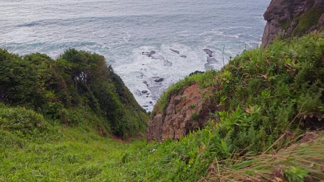 崖の上から岩場の海岸を見下ろした風景。