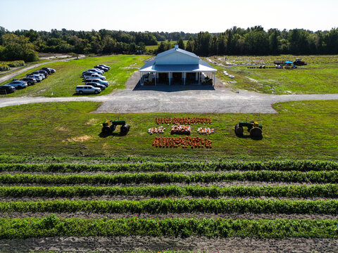 Aerial view of Trask Family Farms featuring a white barn, rows of crops, and a pumpkin display arranged on the grass between two vintage tractors in Castle Hayne, North Carolina, United States.
