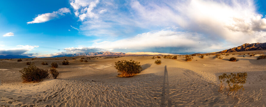 Mesquite flats in the death valley desert in sunset light