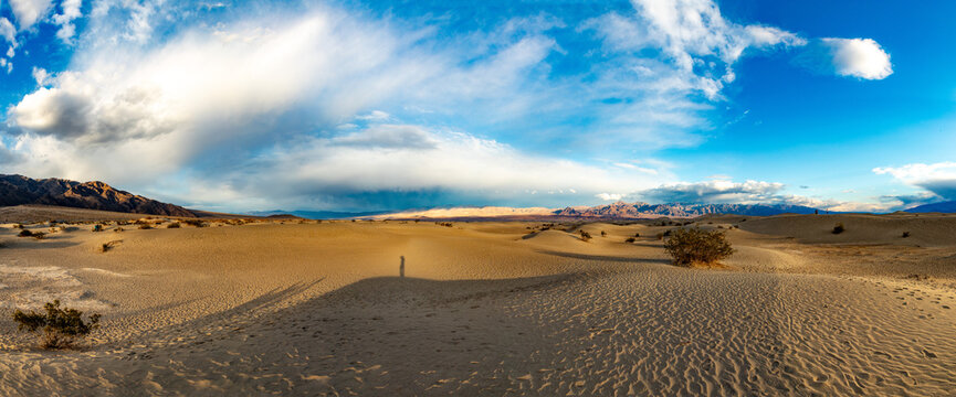 Mesquite flats in the death valley desert in sunset light