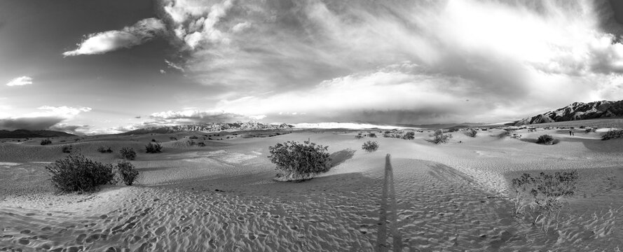 Mesquite flats in the death valley desert in sunset light