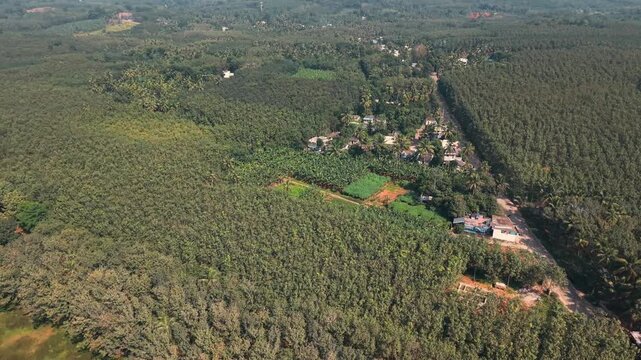 Valiayatrumugom Aerial View, Southern Tamil Nadu