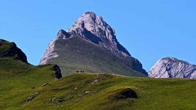 Stunning view of Col d'Aubisque mountain peak and ridges in green landscape.