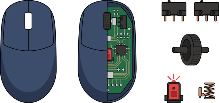 Computer Mouse Anatomy Vector Illustration Kit with Cross Section Circuit Board Microswitch and Scroll Wheel Components for Technical Engineering Graphic Designs