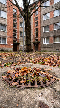 Clogged round cast iron drain cover covered with fallen autumn leaves in residential courtyard. Close up view of blocked storm sewer grate with tree and brick apartment building background