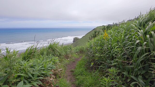 草むらの中の小道から海を望む風景。