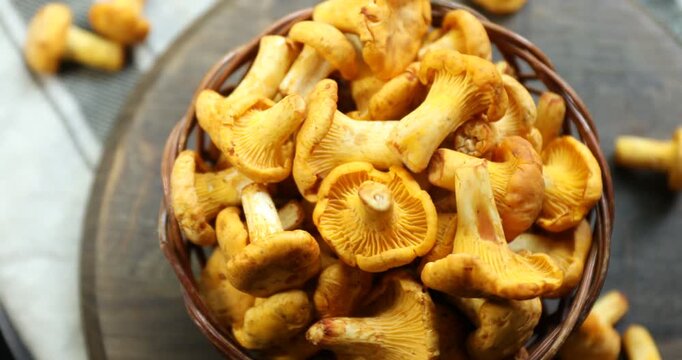 Golden chanterelle mushrooms in wicker basket on table, top view