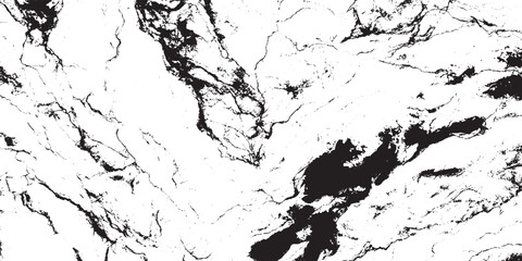 Obraz premium Vector grunge cracked texture style with cracked texture black and white dust and cracked concrete wall 
