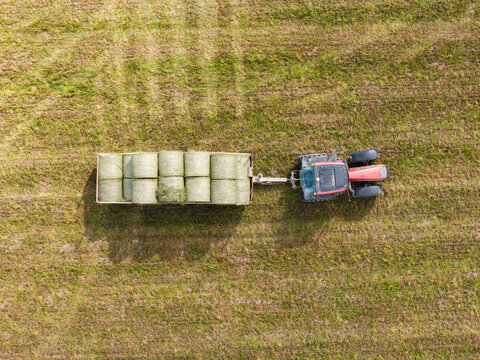 Aerial view of a tractor pulling a trailer loaded with round hay bales across a green agricultural field in Talsi Municipality, Latvia.