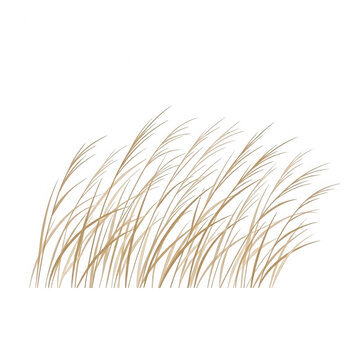 Illustrazione vettoriale di un ciuffo di erba secca o paglia su sfondo bianco, rappresentazione stilizzata di piante selvatiche autunnali con linee sottili e minimaliste per design grafico.