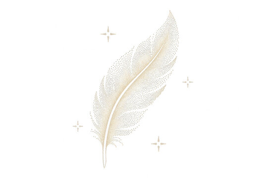 Illustrazione delicata di una singola piuma elegante con dettagli dorati e piccole stelle scintillanti su sfondo bianco, ideale per design minimalista, cancelleria raffinata o progetti creativi.