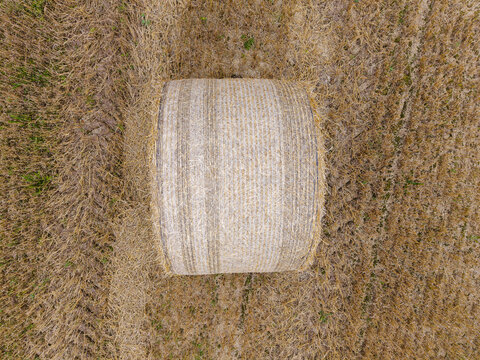 Aerial view of a single round hay bale sitting in a harvested field with dry stubble and tractor tracks, Talsi Municipality, Latvia.