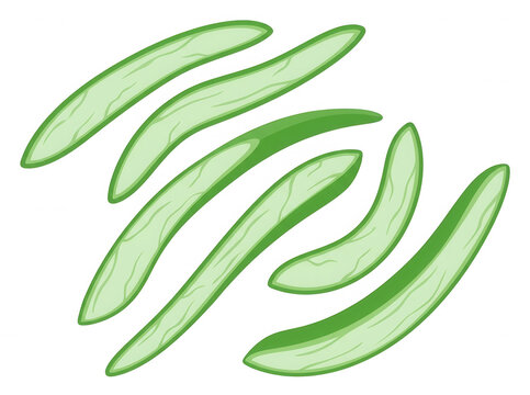 Illustrazione vettoriale di fette di cetriolo fresco disposte in modo dinamico su sfondo bianco, rappresentazione stilizzata di verdure a fette sottili per design culinario e concetti di