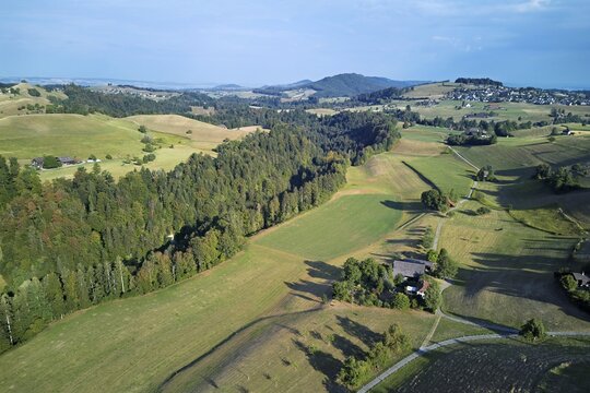 Parched, dry meadows in the Drumlin countryside, heat summer 2026, Hirzel, Canton of Zurich, Switzerland