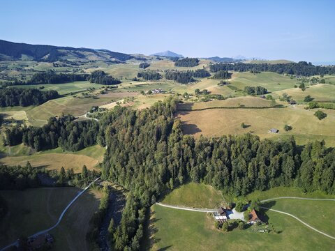 Parched, dry meadows in the Drumlin landscape, Sihlmatt in the foreground, hot summer 2026, Menzingen Canton of Zug, Switzerland