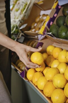 Person holds lemon while choosing from fresh lemons at market. Nearby, avocado and other fruits are on display. Bright colors fill the scene as shoppers explore produce options