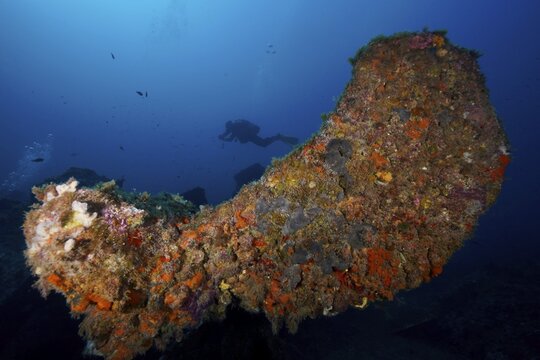 Densely overgrown piece of wreck, ship propellers, in the depths of the sea, divers visible in the background. Mediterranean near Hy&egrave;res, wreck Michel C dive site, Giens Peninsula, Porquerolles, Provence, C&ocirc;te d'Azur, France