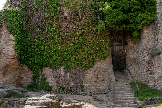 Stone staircase and walls covered with old ivy inside atmospheric medieval castle ruins in Poland. Concept of historical exploration, hidden passages, adventure tourism and cultural heritage.