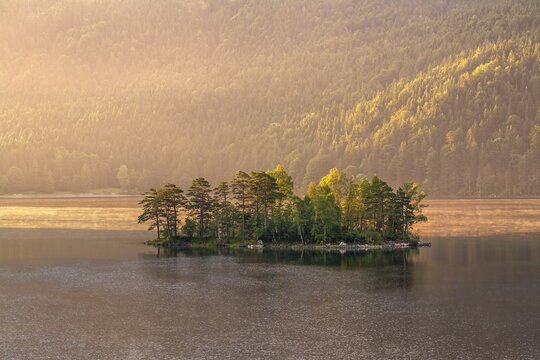 Morning atmosphere at the Eibsee lake, small island in the first light, Grainau near Garmisch-Partenkirchen, Upper Bavaria, Bavaria, Germany