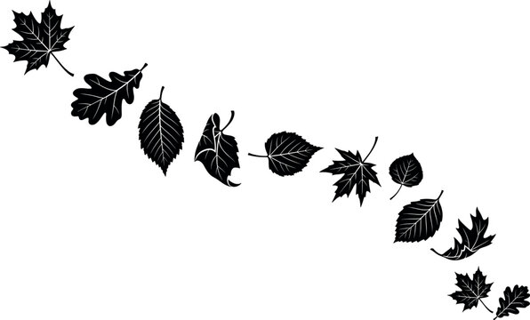 Falling autumn leaves wave pattern set with black silhouette maple oak birch and aspen foliage elements for seasonal backgrounds.