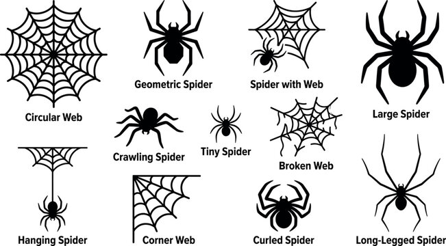 Halloween spider and web diagram set with black silhouette graphics featuring circular broken corner cobwebs crawling and hanging insects.